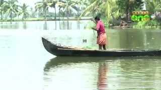 Poison used for fishing in Kumarakom [upl. by Bauske]