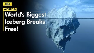 Worlds Biggest Iceberg Over 2X Size Of Delhi Breaks Away From Ocean Floor [upl. by Shela]