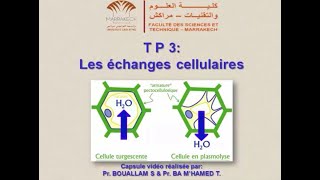 TP de biologie cellulaire quotLes échanges cellulairesquot [upl. by Mordy]