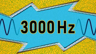 3000 Hz TEST TONE SOUND [upl. by Licec]