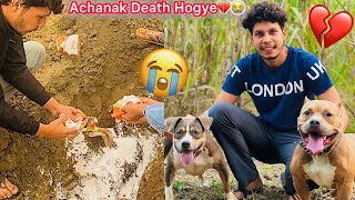 Ghumta Firta Achanak Death Hogye😭Unexpected💔RIP🙏🏻 [upl. by Tildy711]