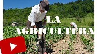 ¿Que es la Agricultura 🌱🌽🍅 [upl. by Lletnahs]