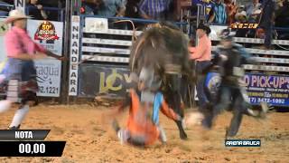 Final do Rodeio de Nhandeara SP 2018 [upl. by Aneleasor835]