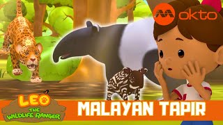 ONLY TAPIR species found in Southeast Asia  Leo the Wildlife Ranger Spinoff S4E11  mediacorpokto [upl. by Oirad]