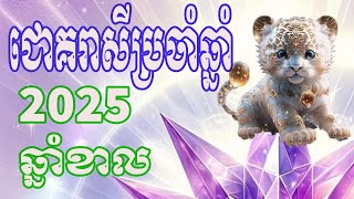 រាសីឆ្នាំខាល 2025 Tiger Horoscope 2025 [upl. by Noseaj]