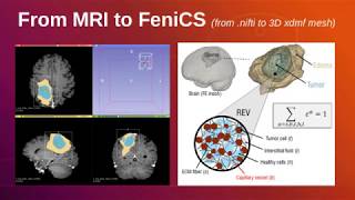 From MRI to FEniCS 3D xdmf mesh [upl. by Anrym812]