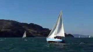 SMALL SAILBOAT STRUGGLING IN STRONG WINDS [upl. by Raycher]