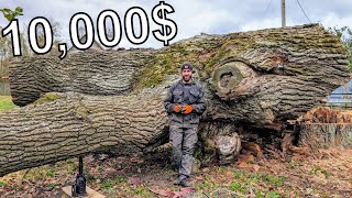 The 10000 Log That Shocked Us [upl. by Nojel]