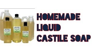 DIY LIQUID CASTILE SOAP in hindiHOW TO MAKE LIQUID CASTILE SOAP WITH 2 INGREDENTSHINDI ME [upl. by Manuel551]