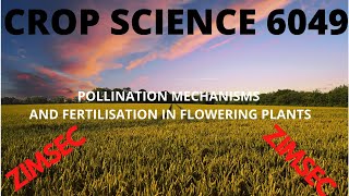 POLLINATION MECHANISMS AND DOUBLE FERTILIZATION IN PLANTS [upl. by Asoj]