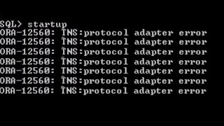 ORA12560 TNSProtocol Adaptor Error in Oracle 21c  Protocol Adapter Error [upl. by Otrebliw]