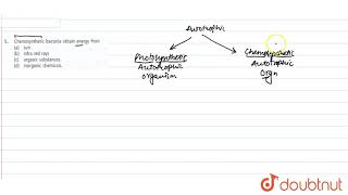 Chemosynthetic bacteria obtain energy from [upl. by Ahsinnod]