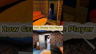 Player Vs Granny Part 3  How Granny See Player granny grannyevolution girltechnogamerz 90fps [upl. by Grishilde]