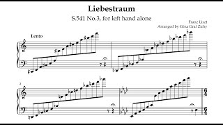 LisztZichy Liebestraum S541 No3 for left hand alone McCarthy [upl. by Asiar604]