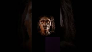 History Of Human Evolution 6 Millions Year Ago 😱 history trending viralshorts explore [upl. by Anirtik]