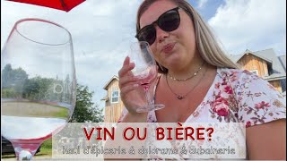 VIN OU BIÈRE  haul aubainerie  dépicerie et lhalloween au dolorama  Cest Miriam [upl. by Noeled]