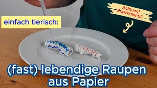 Forsche mit uns Raupen  aus Papier [upl. by Arreyt178]