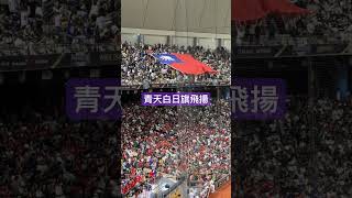 中華vs澳洲 當國旗升起 英雄勳章 前進東京 20241117 [upl. by Nemad]