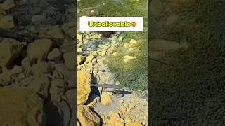 Worlds clearest water😱 fypシ゚viral shortvideo watch fyp video viralshorts viral [upl. by Flavius562]