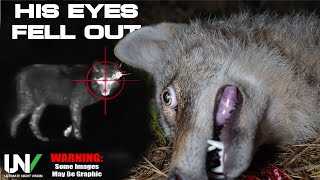 His Eyes POPPED OUT HIS HEAD Hunting for Coyotes with our NEW THERMAL TX60C [upl. by Orvah]