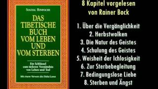 Das tibetische Buch vom Leben und vom Sterben Sogyal Rinpoche  8 Kapitel [upl. by Noral429]