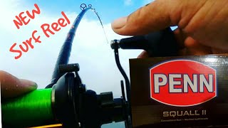 Penn Squall II 15SD Surf Fishing Test Plus one of the Craziest Catch and Release [upl. by Ahsaf900]