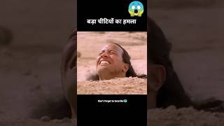 The Scorpion King  Short Movie explained in HindiUrdu shorts [upl. by Acimahs560]