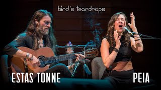 Birds Teardrops  Estas Tonne feat Peia  Ashland Oregon 2018 [upl. by Sitruk]