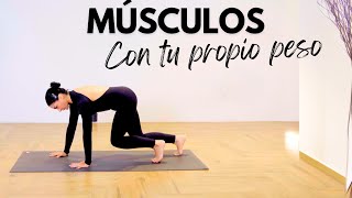 FUERZA CON TU PROPIO PESO Rutina con el propio peso corporal para fortalecer tus músculos 25 min [upl. by Ardnohsal]