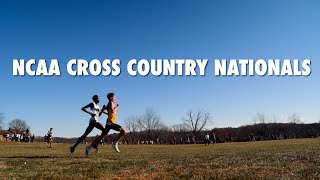 NCAA Cross Country Nationals 2023 cinematic [upl. by Line]