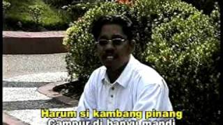 ADAT KAWIN  Nanang Irwan  Dangdut Banjar Kalimantan Selatan [upl. by Marzi]