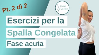 SMARTWORKING ESERCIZI PER LA SPALLA CONGELATA pt 2 di 2 [upl. by Polik]