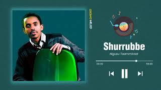 Nigusu Taammiraat Shurrubbe Oromo music 2023 [upl. by Graf]