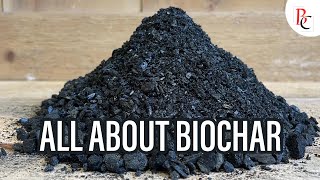 All about Biochar [upl. by Nonnarb]