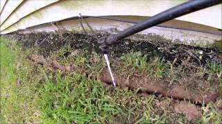 easy way to kill termites [upl. by Akenet283]