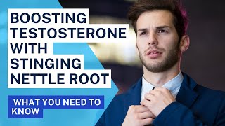 Boosting Testosterone with Stinging Nettle Root What You Need to Know [upl. by Clynes]