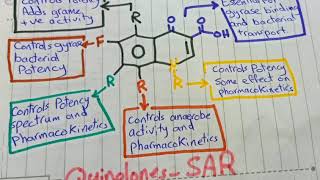 Quinolines SAR [upl. by Phaidra]