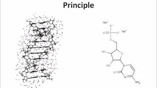 Ethanol Precipitaion of DNA [upl. by Colinson866]