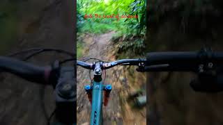 Fox 36 grip xfox36 mtb mtbsg mtblife [upl. by Amhsirak]