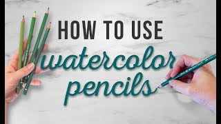 How To Use Watercolor Pencils  TIPS FOR BEGINNERS  How To For Beginners [upl. by Ginsburg]