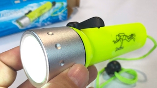 Waterproof Dive XPE Flashlight Review [upl. by Assilim]