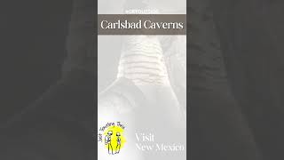 Carlsbad Caverns National Park newmexico nationalparks roadtrip [upl. by Ervin]