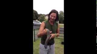 Deadly Australian Snake with Steve Ludwin [upl. by Magel]