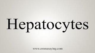 How To Say Hepatocytes [upl. by Breena]