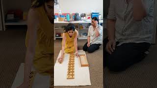 Seguin Board  Montessori  Math lesson [upl. by Ardnuaek]