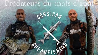 CHASSE SOUS MARINE CORSE 2023 [upl. by Jannel249]