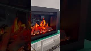 2024 Newest smart electric fireplace insert  Litedeer Fireplace now accepting preorders [upl. by Ventre]