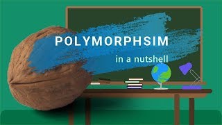 Polymorphism in a Nutshell [upl. by Naara]