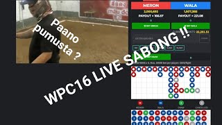 Paano mag register sa WPC16 live sabong [upl. by Ahseekat]