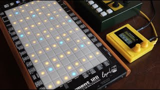 1010music Nanobox Lemondrop Synth and Linnstrument [upl. by Ttsepmet75]